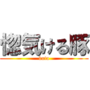 惚気ける豚 (buta)