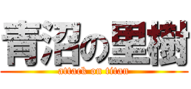 青沼の里樹 (attack on titan)