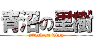 青沼の里樹 (attack on titan)