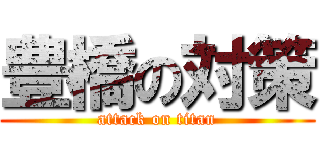 豊橋の対策 (attack on titan)