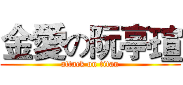 金愛の阮亭瑄 (attack on titan)