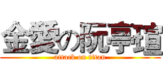 金愛の阮亭瑄 (attack on titan)