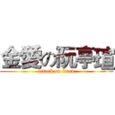 金愛の阮亭瑄 (attack on titan)
