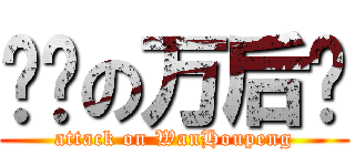 进击の万后鹏 (attack on WanHoupeng)