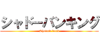 シャドーバンキング (Shadow bank)