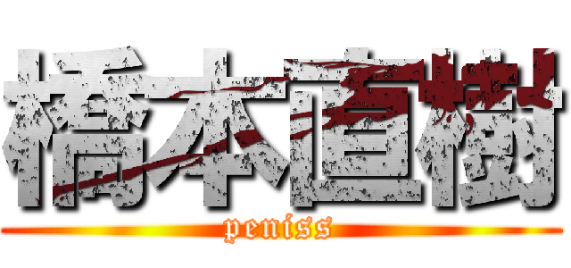 橋本直樹 (peniss)