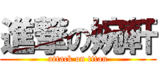進撃の婉軒 (attack on titan)