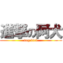 進撃の阿犬 (dog kick)