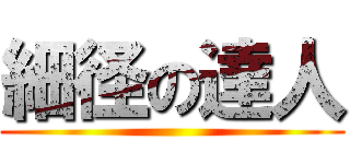 細径の達人 ()