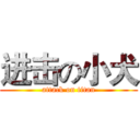 进击の小犬 (attack on titan)