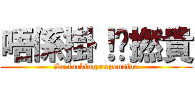 唔係掛！咁撚貴 (So fucking expensive)