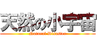 天然の小宇宙 (Natural Disaster)