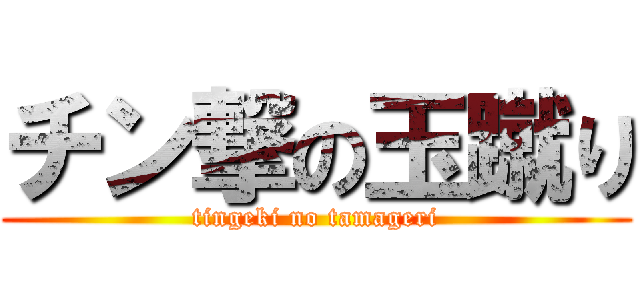 チン撃の玉蹴り (tingeki no tamageri)