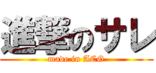 進撃のサレ (made in ACG)