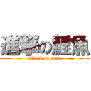 進撃の鯉魚 (attack on carp)