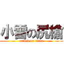 小雷の尻槍 (attack on titan)