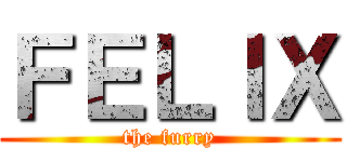 ＦＥＬＩＸ (the furry)