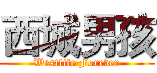 西城男孩 (Westlife Forever)