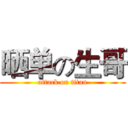 晒单の生哥 (attack on titan)