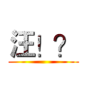 汪！？ ()