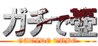 ガチで壺 (GATIDE TUBO)