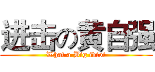 进击の黄自强 (What a Big idiot)