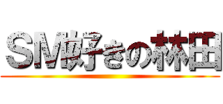 ＳＭ好きの林田 ()