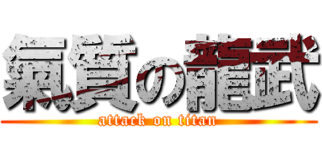 氣質の龍武 (attack on titan)