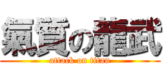氣質の龍武 (attack on titan)