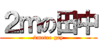 ２ｍの田中 (2metre gay)