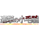 進撃の小毛驢 (attack on titan)