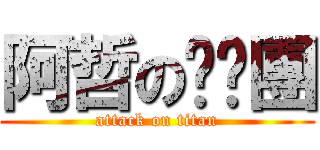 阿哲の揪跑團 (attack on titan)