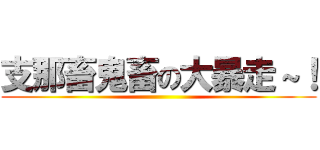 支那畜鬼畜の大暴走～！ ()