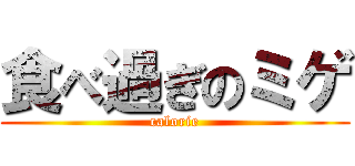 食べ過ぎのミゲ (calorie)