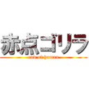 赤点ゴリラ (end of human)