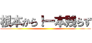 根本から！一本残らず ()