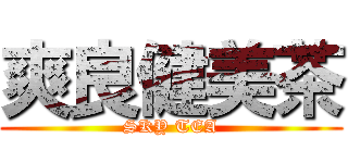 爽良健美茶 (SKY TEA)