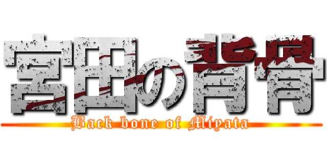 宮田の背骨 (Back bone of Miyata)