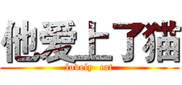 他爱上了猫 (lovely  cat)