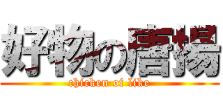 好物の唐揚 (chicken of like)