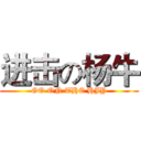 进击の杨牛 (GO ON THE HJY)