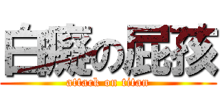 白癡の屁孩 (attack on titan)