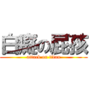 白癡の屁孩 (attack on titan)