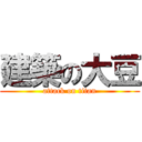 建築の大豆 (attack on titan)