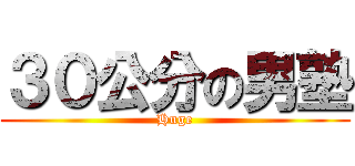 ３０公分の男塾 (Huge)