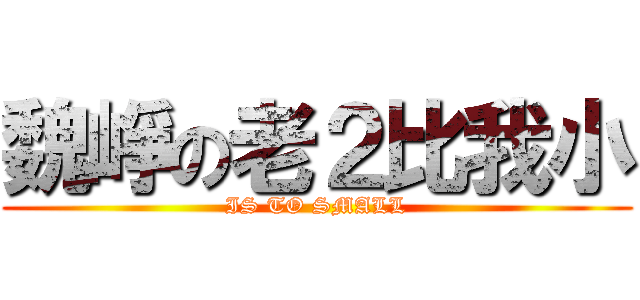 魏崢の老２比我小 (IS TO SMALL)