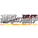 進撃の猫伊 (attack on titan)