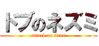 ドブのネズミ (attack on titan)