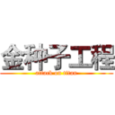 金种子工程 (attack on titan)