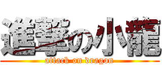 進撃の小龍 (attack on dragon)